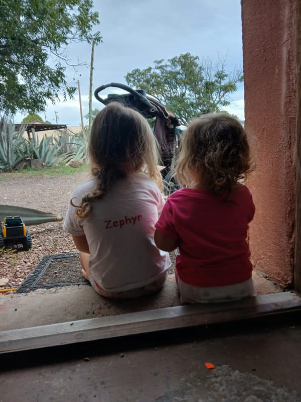 Perfectionism & Reflections on Motherwort